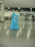 DSC01851.jpg